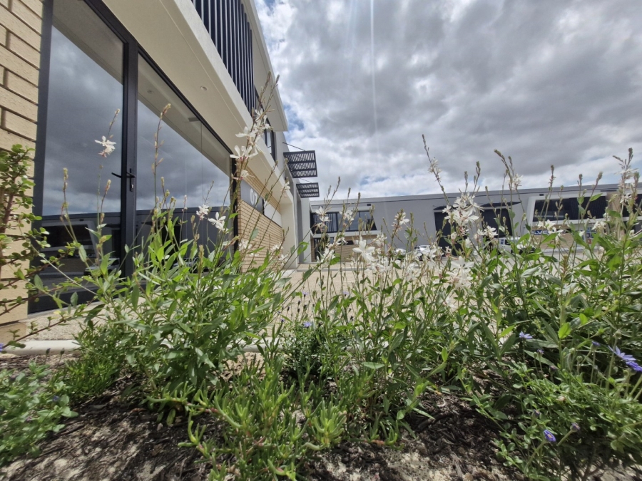 To Let commercial Property for Rent in Stikland Industrial Western Cape